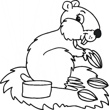 animal coloring pages hamster