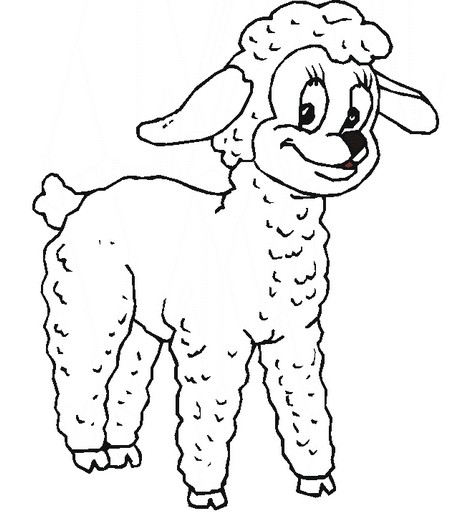 Animal coloring page of sheep